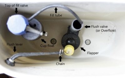 Running Toilets, Losing Money